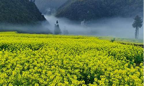 云南文山市三七镇天气预报,云南文山市三七