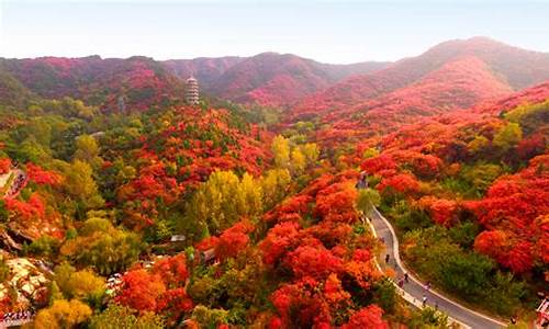 泰安红叶谷景区天气预报查询_泰安红叶谷景