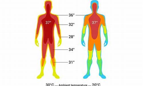 天气热人体温度会升高吗_天气热人体体温低