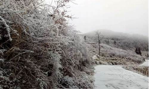 天气晴朗就没有雾霾了吗_晴朗天气会下雪吗吗