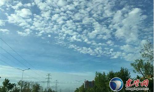 山东东营夏天最高气温_东营的夏天气候特点