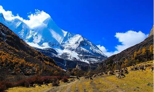 甘孜州稻城县天气_甘孜州稻城县天气预报