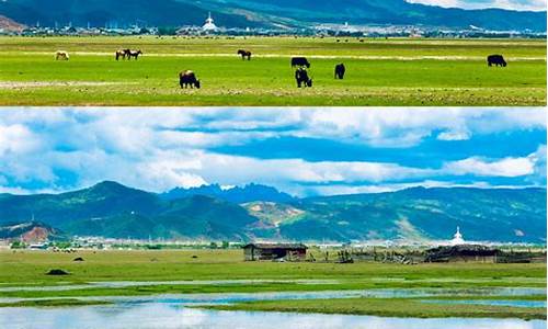 香格里拉7月份天气预报_香格里拉7月份天气