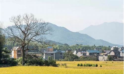 浦城石陂天气预报_浦城县石陂镇天气预报