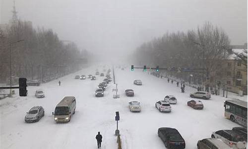 今年有大暴雪吗_今年有暴雪天气吗