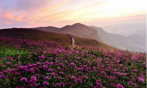 毕节大韭菜坪天气预报_毕节韭菜坪天气预报10天查询