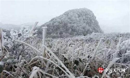 柳州天气冬天冷吗_广西冬天柳州天气如何