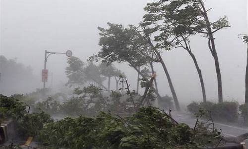 台风天可以停地下车库吗_台风天气哪里不能停车