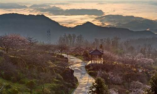 大邑雾山天气预报_大邑雾山天气预报7天