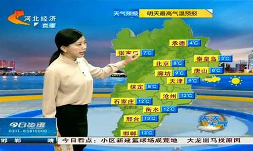 河北河间天气预报15天_河间天气预告15天