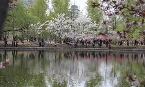 2017年3月北京天气_2017年三月北京天气