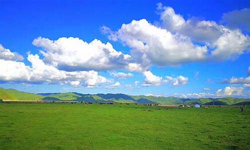 诺尔盖天气旅游攻略_四川诺尔盖县天气预报