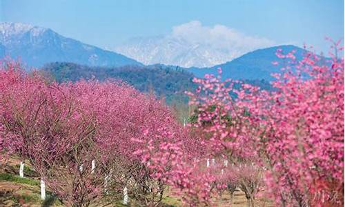 都江堰四月份天气_都江堰四季温度