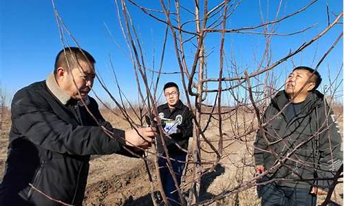 科左中旗天气预告_科左中旗天气预报15天查询