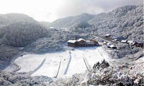 金佛山下雪了没有_金佛山天气下雪了