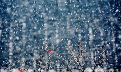 雨夹雪天气去海边好吗_雨夹雪天气去海边