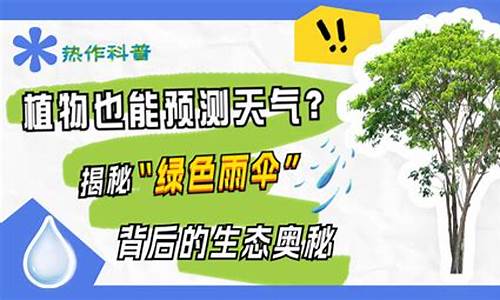 预测天气预报的植物_植物预测天气拾趣