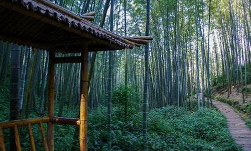 蜀南竹海景区天气预报30天_蜀南竹海景区天气预报