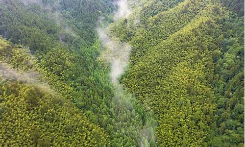 湖南株洲炎陵天气_湖南株洲炎陵天气预报15天查询结果