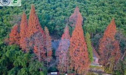 莫干山天气预报一周天气 穿什么衣服_莫干山天气预报一周