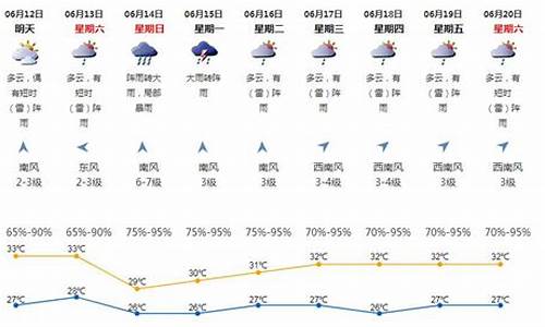 台风鹦鹉登陆广东哪里_广东鹦鹉台风深圳天气